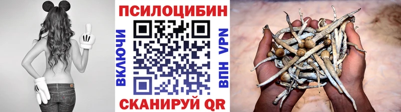 Псилоцибиновые грибы мицелий  Судак 